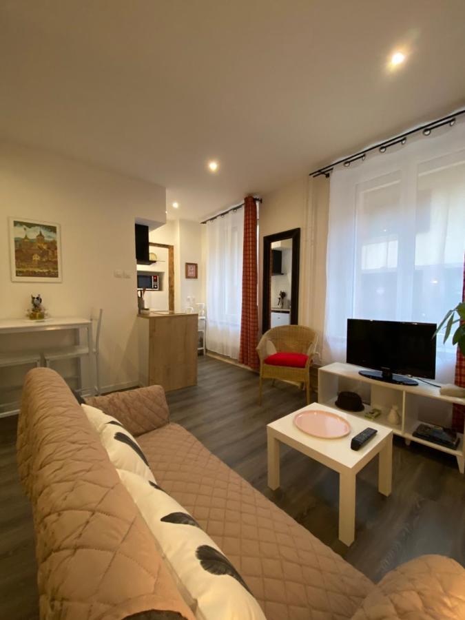 L'Ours De Colmar - Appartements En Centre Ville 外观 照片