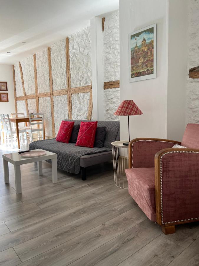 L'Ours De Colmar - Appartements En Centre Ville 外观 照片