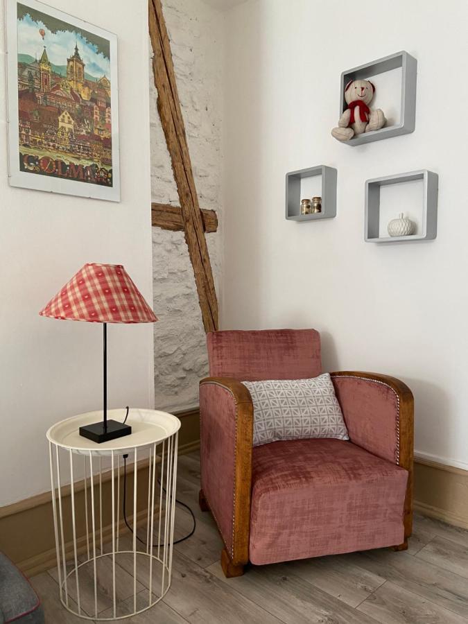 L'Ours De Colmar - Appartements En Centre Ville 外观 照片