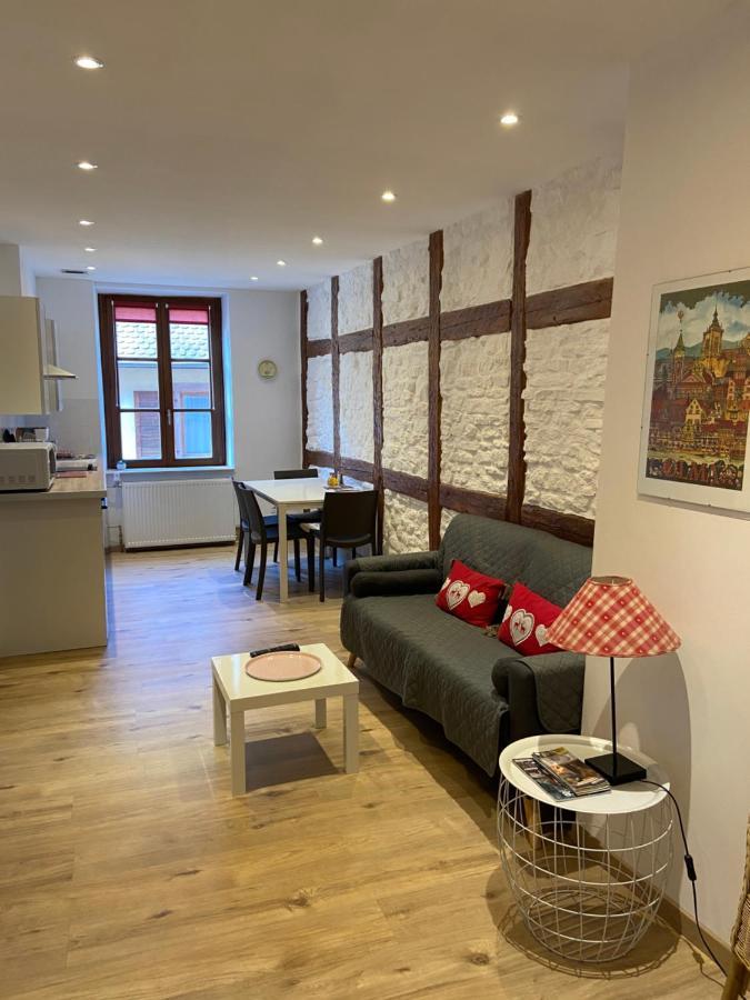 L'Ours De Colmar - Appartements En Centre Ville 外观 照片
