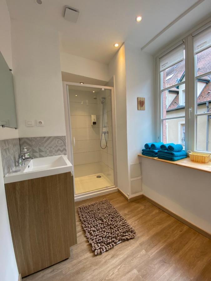 L'Ours De Colmar - Appartements En Centre Ville 外观 照片