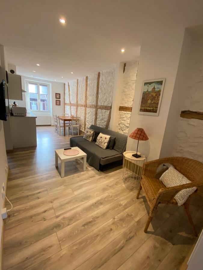 L'Ours De Colmar - Appartements En Centre Ville 外观 照片