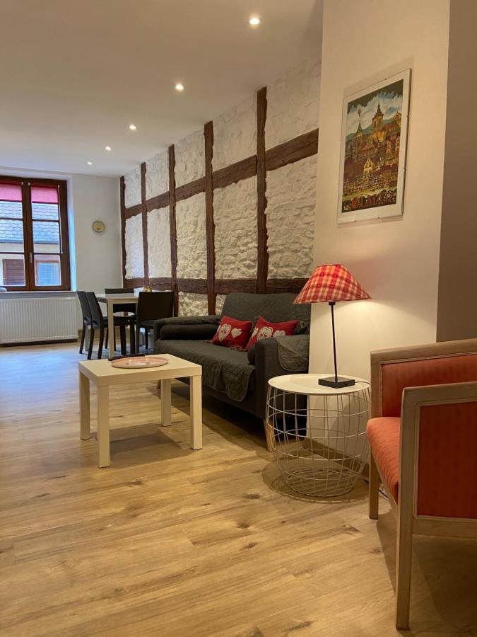 L'Ours De Colmar - Appartements En Centre Ville 外观 照片