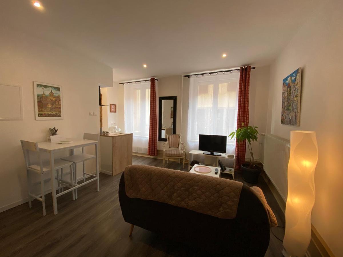 L'Ours De Colmar - Appartements En Centre Ville 外观 照片
