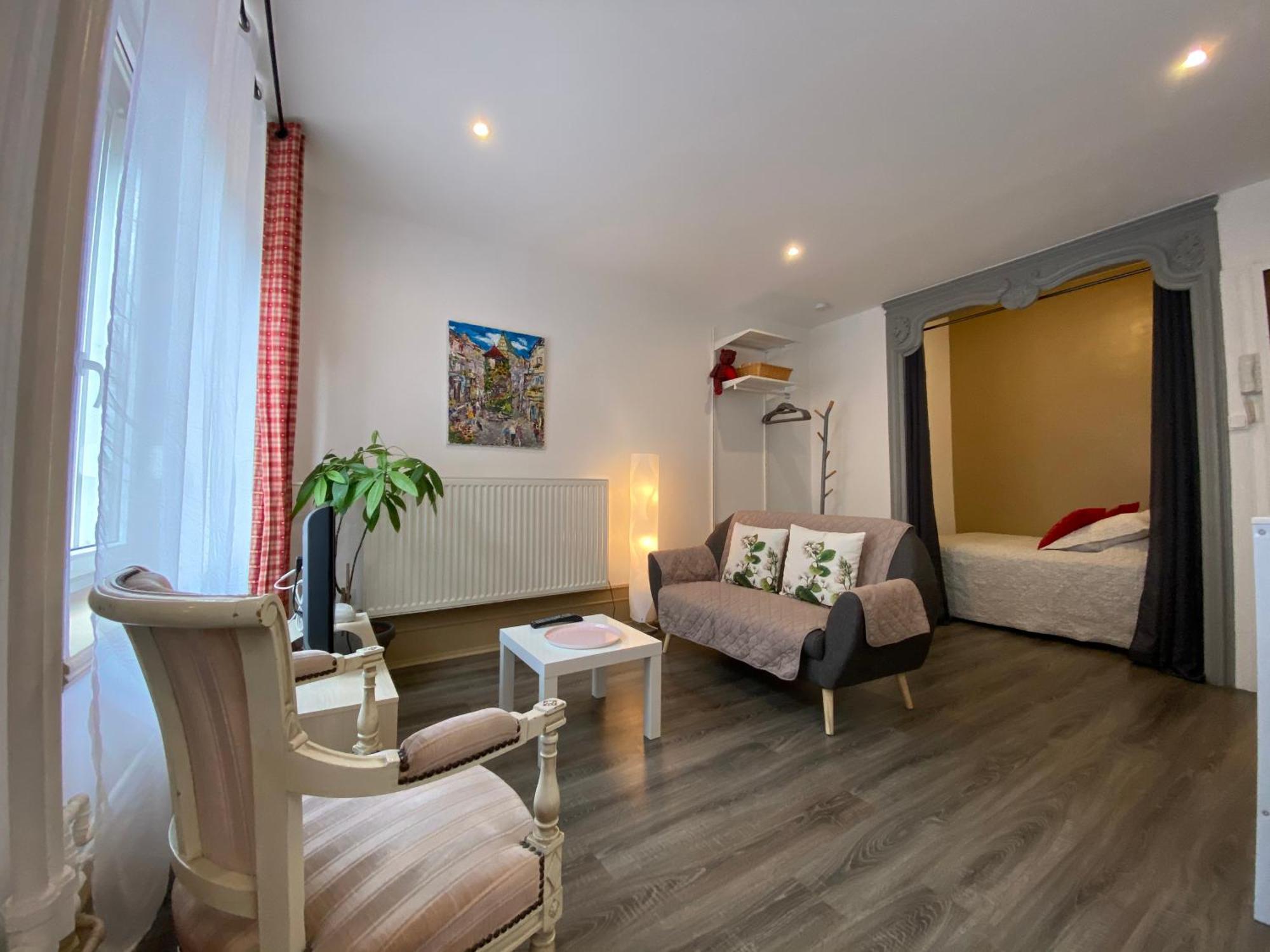 L'Ours De Colmar - Appartements En Centre Ville 外观 照片