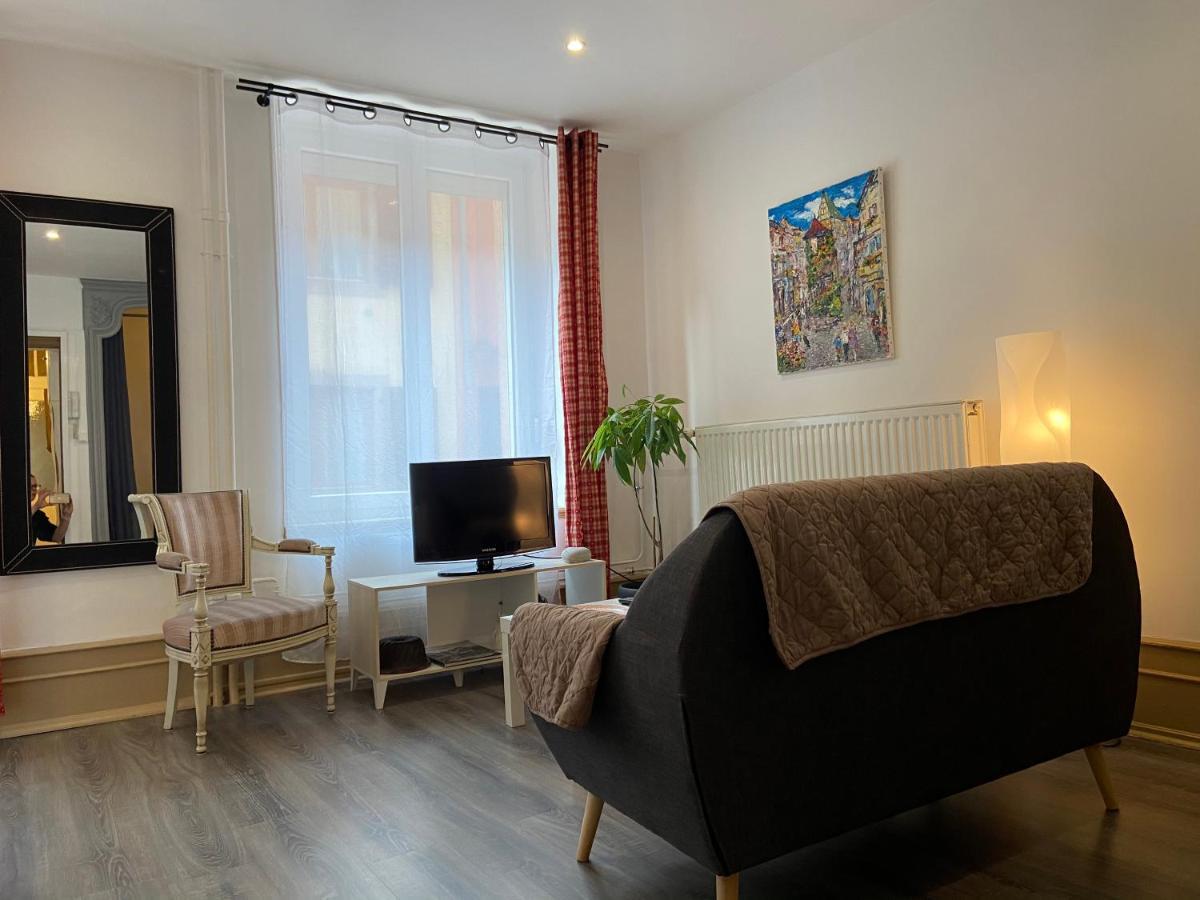 L'Ours De Colmar - Appartements En Centre Ville 外观 照片