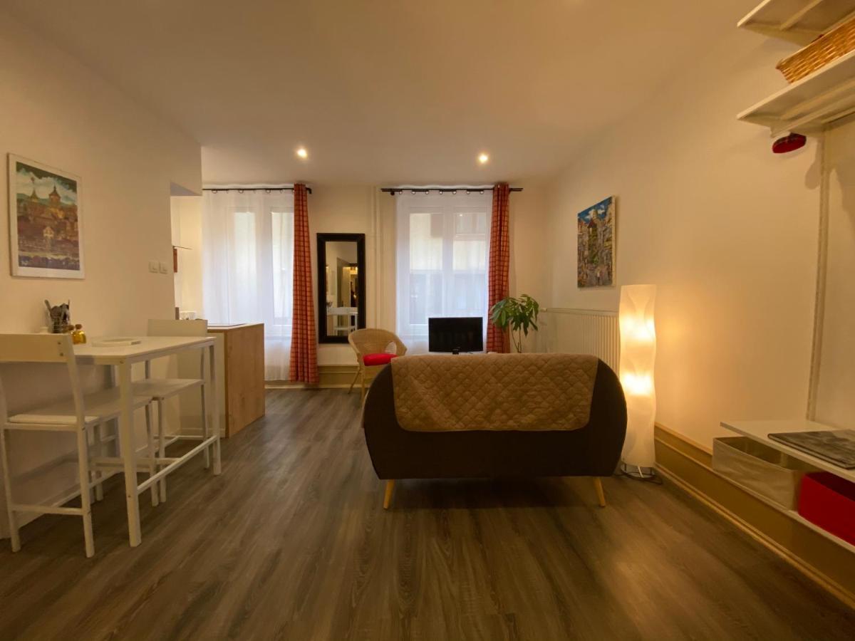 L'Ours De Colmar - Appartements En Centre Ville 外观 照片