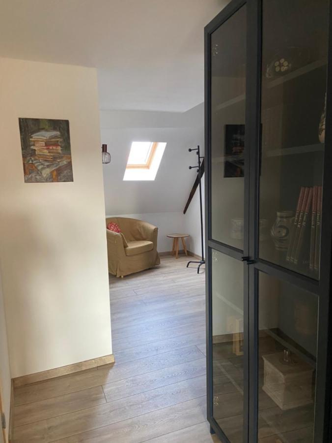 L'Ours De Colmar - Appartements En Centre Ville 外观 照片