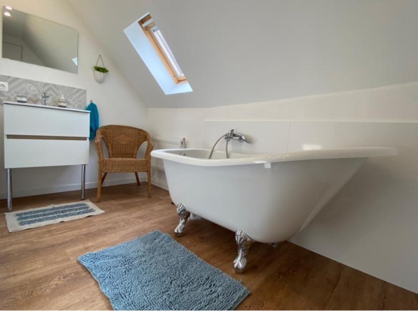 L'Ours De Colmar - Appartements En Centre Ville 外观 照片