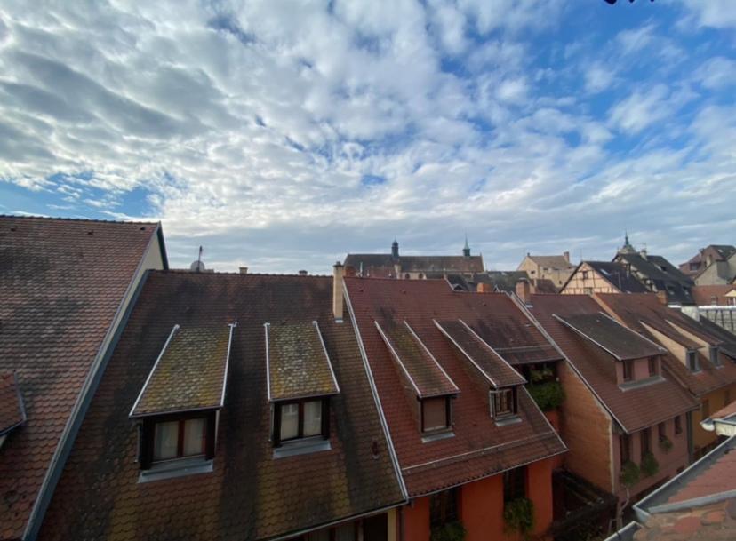 L'Ours De Colmar - Appartements En Centre Ville 外观 照片