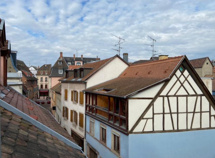L'Ours De Colmar - Appartements En Centre Ville 外观 照片