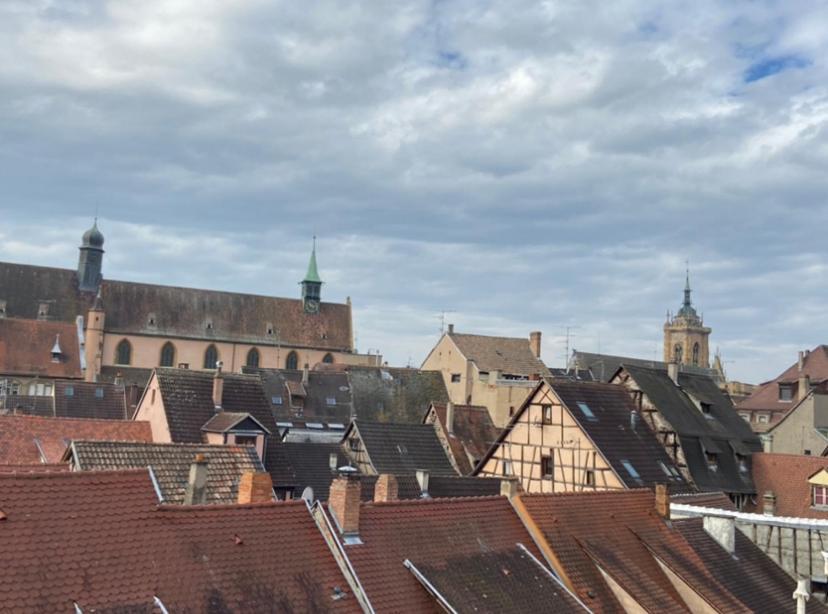 L'Ours De Colmar - Appartements En Centre Ville 外观 照片