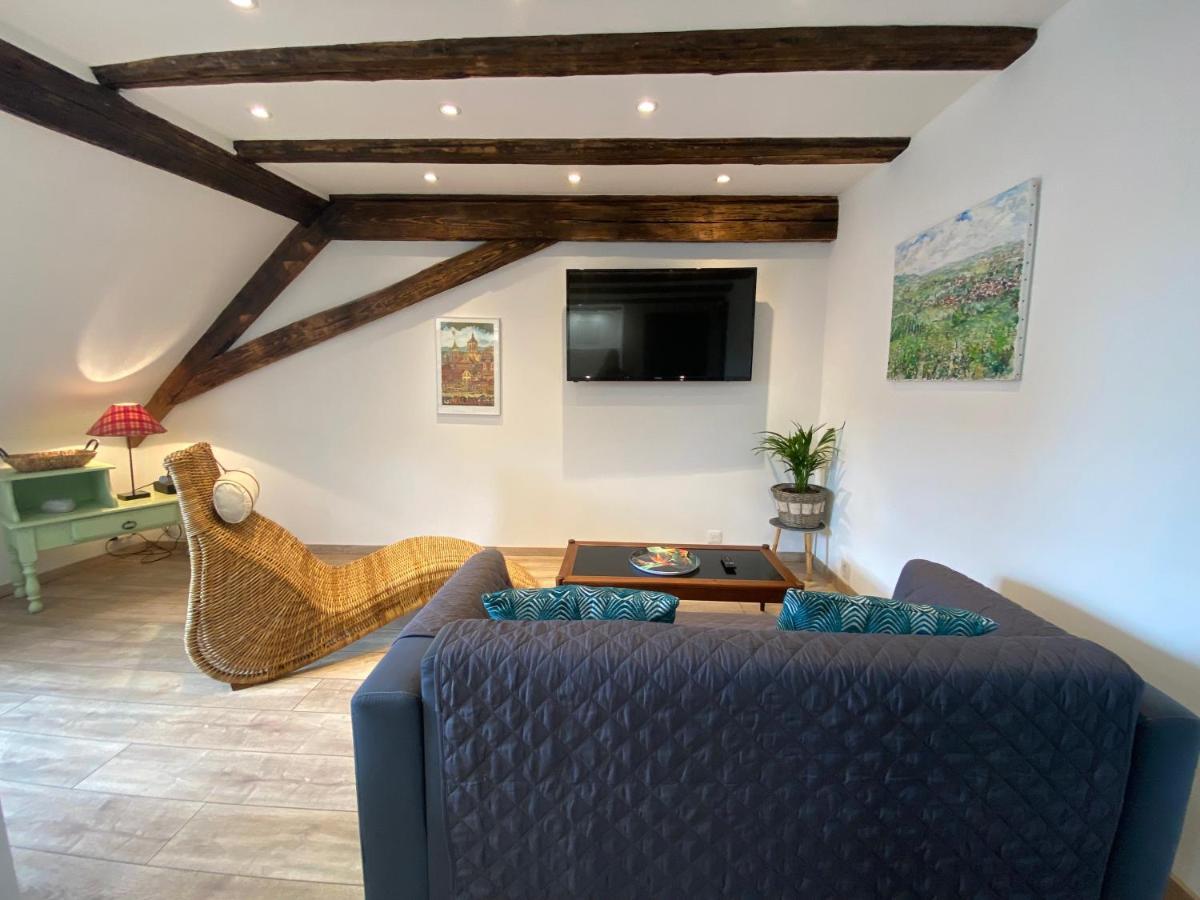 L'Ours De Colmar - Appartements En Centre Ville 外观 照片