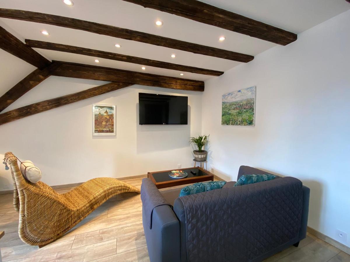 L'Ours De Colmar - Appartements En Centre Ville 外观 照片