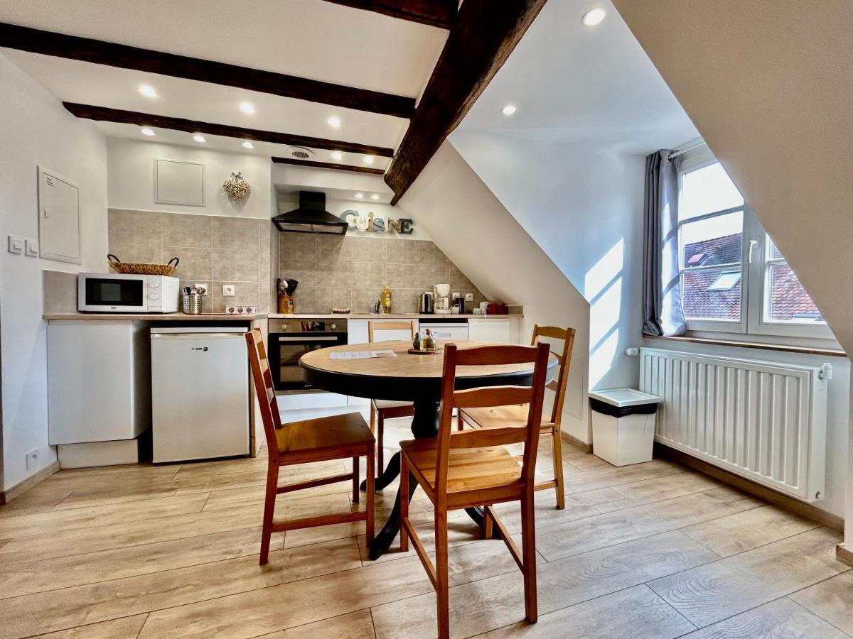 L'Ours De Colmar - Appartements En Centre Ville 外观 照片
