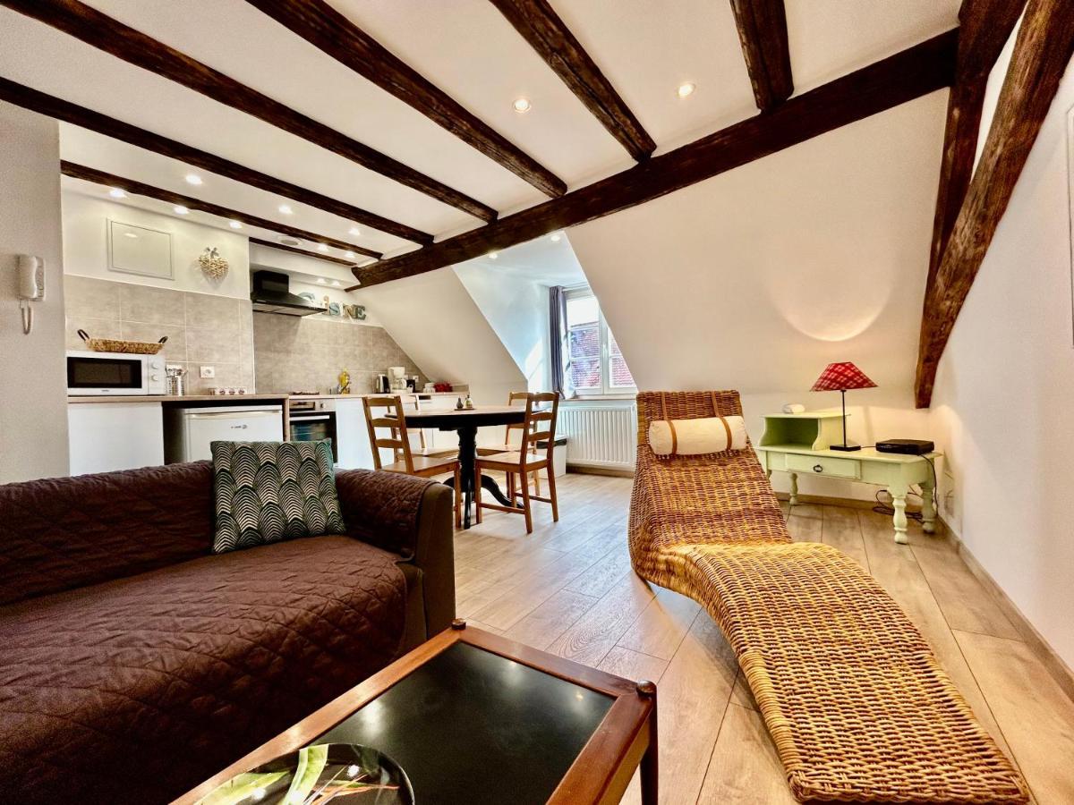 L'Ours De Colmar - Appartements En Centre Ville 外观 照片