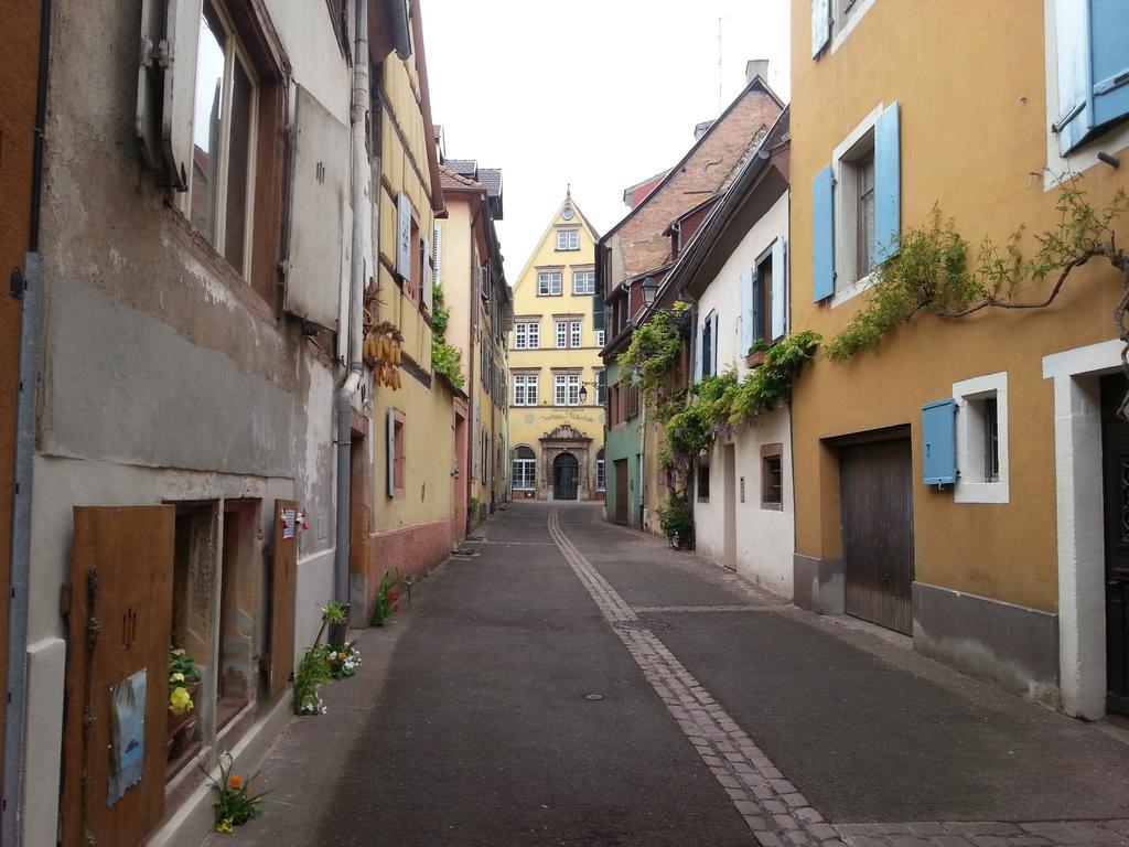 L'Ours De Colmar - Appartements En Centre Ville 外观 照片