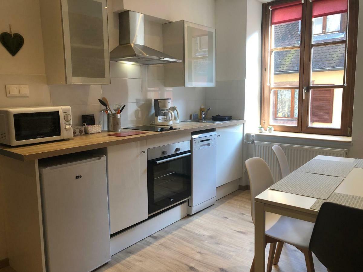 L'Ours De Colmar - Appartements En Centre Ville 外观 照片